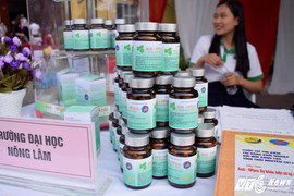 Ứng dụng lá Bồ đề trong điều trị bệnh dạ dày