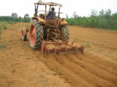 Hệ thống máy canh tác và thu hoạch cây sắn