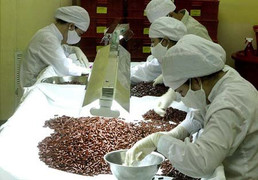 Thuốc điều trị bệnh rối loạn chuyển hóa lipid và tiểu đường ‘made in Vietnam’