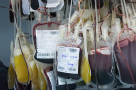 ‘Đột nhập’ Viện Huyết học, khám phá cận cảnh phân xưởng điều chế và kho máu - 25 độ C