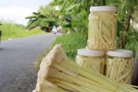 Trồng bồn bồn, nông dân bỗng chốc thành đại gia