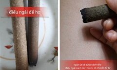 Dùng ngải cứu, salonpas chữa ho cho trẻ hiệu quả chỉ sau 3 ngày?