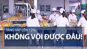 'Bộ Tài chính chưa nêu được lý do thuyết phục cho việc tăng thuế'