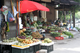 Hà Nội sẽ kiểm soát được xuất xứ trái cây