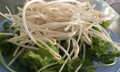 Bơm chất kích thích vào giá đỗ, bị phạt 30 triệu đồng