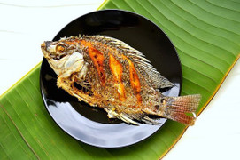 Thực chất ăn thịt hay ăn cá tốt hơn?