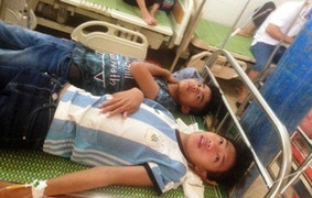 Bị ong rừng tấn công bất ngờ, 15 học sinh phải nhập viện cấp cứu