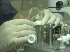 Thụ tinh ống nghiệm 'hộp giày': Hy vọng mới chữa vô sinh