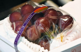 Dưa lưới Nhật Bản giá 600 triệu đồng/cặp bán đầy Việt Nam