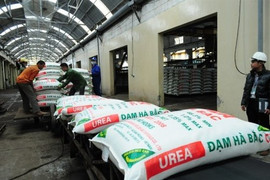 Lên sàn không có thanh khoản, Đạm Hà Bắc ôm khoản lỗ hơn 2.200 tỷ đồng