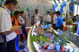 Bị EU phạt thẻ vàng, hải sản Việt 'kêu cứu' Thủ tướng