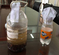 7 người ngộ độc do uống rượu ngâm cà gai tại Thái Bình: Bộ Y tế cảnh báo