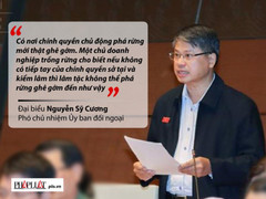 Những phát ngôn 'đốt nóng' nghị trường Quốc hội