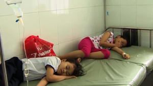 Kết luận nguyên nhân hàng trăm học sinh ở Hậu Giang uống sữa Milo bị ngộ độc