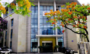 Mỗi năm khai thác hàng chục ngàn tấn kim loại quý: Lợi nhuận chỉ ngót nghét 100 tỷ đồng