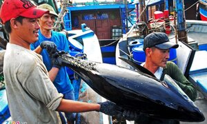 Phó Thủ tướng Vương Đình Huệ mong EU sớm gỡ bỏ 'thẻ vàng' cho thủy hải sản Việt Nam