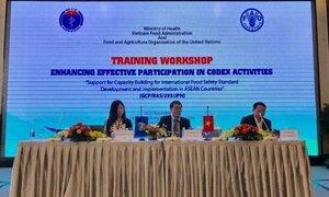 Hội thảo 'Nâng cao hiệu quả tham gia các hoạt động Codex'