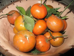 Mỗi ngày bạn phải ăn bao nhiêu rau quả để đủ Vitamin?