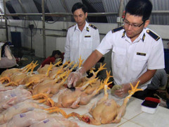 95% thực phẩm nhập khẩu không phải kiểm tra chuyên ngành