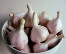 Những loại thực phẩm phòng ngừa cảm lạnh tuyệt vời trong mùa đông