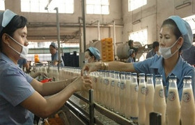 Vì sao nước giải khát Tribeco 'gặp hạn'?