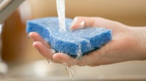 6 vật dụng trong bếp bẩn hơn bệ ngồi bồn cầu, đầy vi khuẩn, mầm bệnh chết người