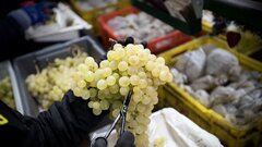 Món ăn mừng năm mới ở các quốc gia trên thế giới
