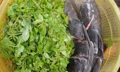 Đừng nấu 9 rau củ này với cá