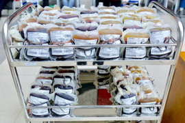 Hàng ngàn người xếp hàng đợi tới đêm để hiến máu nhóm O đang cạn kiệt