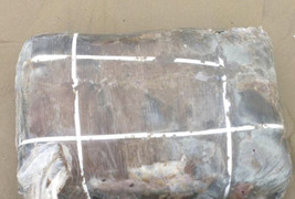 Bí ẩn 5 tạ thịt thối dạt vào bờ biển Thừa Thiên - Huế