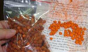 Chuyên gia chống độc cảnh báo nguy cơ ngộ độc cho tất cả trẻ em Việt