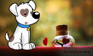 Dự báo sức khỏe, bệnh tật của 12 con giáp trong năm Mậu Tuất 2018