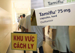 Bộ Y tế triệu tập họp khẩn phòng dịch cúm: Cảnh báo 'sốt' giả thuốc trị cúm Tamiflu cận Tết