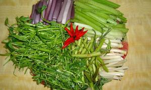 Cẩn trọng ăn uống ngày Tết, đừng để sán đóng trong não, giun bò dưới da