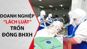 Nhận diện một số thủ đoạn thực hiện hành vi vi phạm pháp luật trong lĩnh vực BHXH