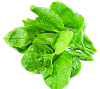 Hay ăn mồng tơi nhưng liệu bạn đã biết được tất cả công dụng của loại rau tuyệt vời này