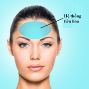 Tuyệt chiêu bắt bệnh khi xem vị trí mụn trên mặt