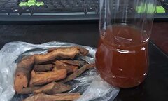 Độc chất lá ngón ngâm rượu giết chết người đàn ông