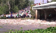 Lũ lớn ở miền Tây: An Giang xả đập Tha La và Trà Sư