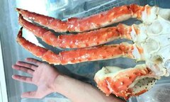 Chân cua hoàng đế dài hơn gần 1 mét giá vài triệu đồng/bộ
