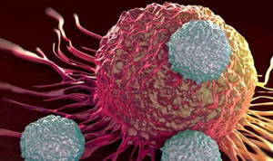 Chúng ta đã đến gần với thuốc chữa ung thư?