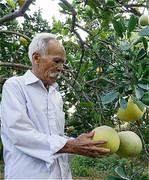 Tình yêu 'sét đánh' của cụ ông 78 và vợ kém 40 tuổi