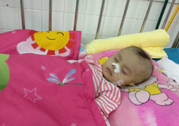 Chạy đua với thời gian, cứu mạng bé trai chỉ còn vài phần trăm cơ hội sống