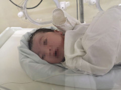 Cuộc chạy đua cứu sống thai nhi bị bỏ rơi của những người 'điên'