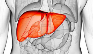 6 thói quen buổi sáng gây hại cho gan