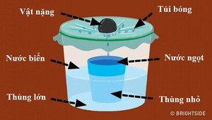 Trôi dạt giữa đại dương nhiều ngày, bạn cần làm gì để sống sót?