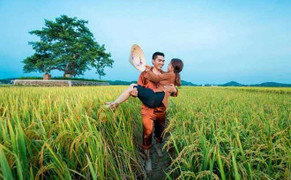 Ảnh cưới bên đồng lúa chín của cặp đôi xứ Nghệ hút dân mạng