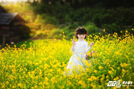 Nhóc tỳ xinh như thiên thần gây ‘sốt’ bởi loạt ảnh bên đồng hoa vàng