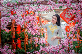 Hot girl Học viện Phụ nữ Việt Nam rạng ngời bên đào xuân