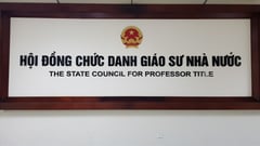 16 ứng viên 'trượt' giáo sư, phó giáo sư: Hội đồng Giáo sư Nhà nước lý giải nguyên nhân